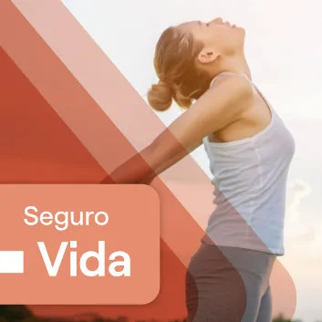 Seguro de Vida — arte oficial do produto
